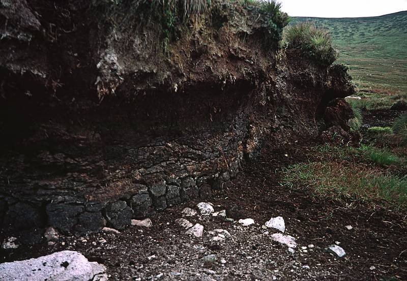 Peat about six feet below the surface.<br />Hike to peat bog and on to ridge.<br />Sept. 4, 1999 (Day 7) - Nire Valley, County Waterford, Ireland.