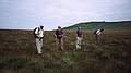 Terry, Eileen, Joyce and Ellen on top of the peat.<br />Hike to peat bog and on to ridge.<br />Sept. 4, 1999 (Day 7) - Nire Valley, County Waterford, Ireland.