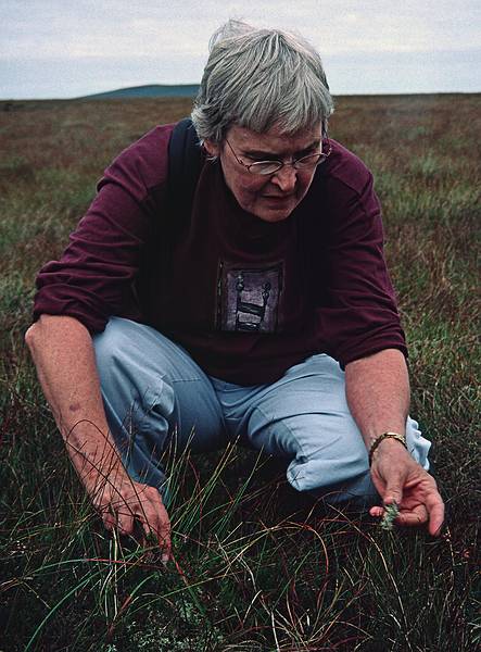 Pat taking a close look at the grass.<br />Hike to peat bog and on to ridge.<br />Sept. 4, 1999 (Day 7) - Nire Valley, County Waterford, Ireland.