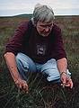 Pat taking a close look at the grass.<br />Hike to peat bog and on to ridge.<br />Sept. 4, 1999 (Day 7) - Nire Valley, County Waterford, Ireland.