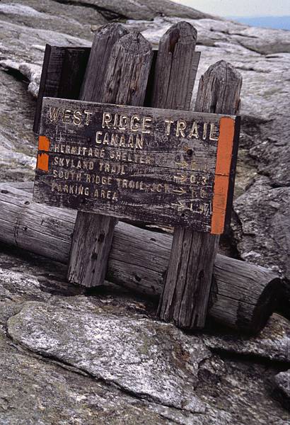 Hike via West Ridge Trail.<br />June 18, 2000 - Mount Cardigan, Orange/Alexandria, New Hampshire.