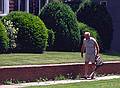 Our neighbor Linc.<br />June 24, 2000 - Merrimac, Massachusetts.