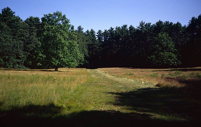July 22, 2000 - Maudslay State Park, Newburyport, Massachusetts.