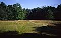 July 22, 2000 - Maudslay State Park, Newburyport, Massachusetts.