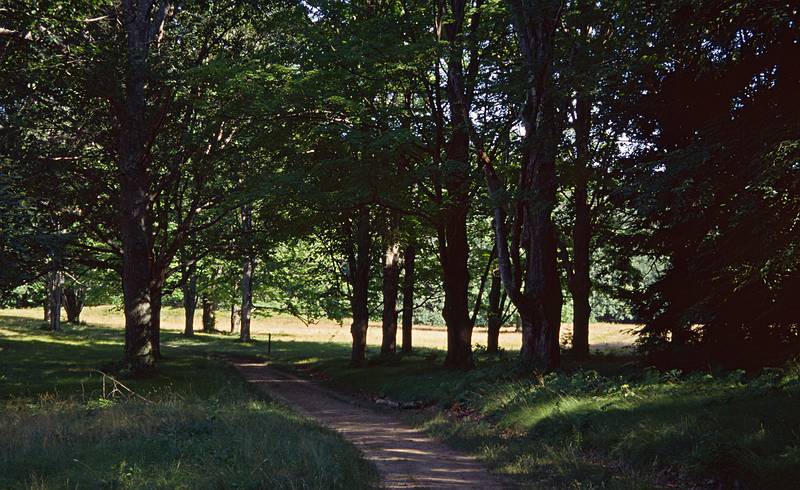July 22, 2000 - Maudslay State Park, Newburyport, Massachusetts.