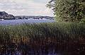 Along the Merrimack River.<br />July 22, 2000 - Maudslay State Park, Newburyport, Massachusetts.