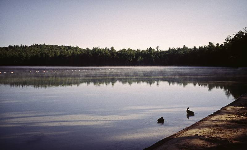 Beach at the park in early morning.<br />August 18, 2000 - Camping at White Lake State Park, West Ossipee, New Hampshire.
