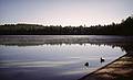 Beach at the park in early morning.<br />August 18, 2000 - Camping at White Lake State Park, West Ossipee, New Hampshire.