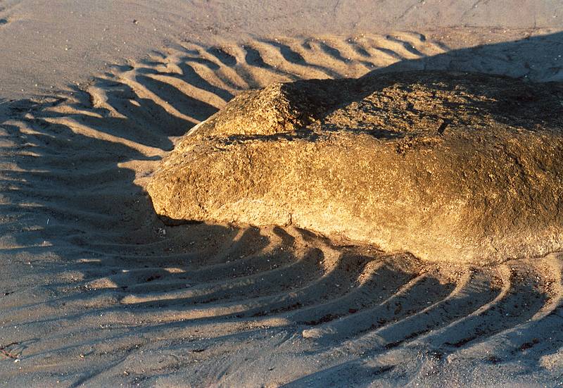 Oct 8, 2000 - Wingaersheek Beach, Gloucester, Massachusetts.