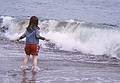 Oct. 27, 2000 - Parker River National Wildlife Refuge, Plum Island, Massachusetts.<br />Dagbjrt.