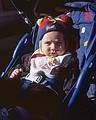 Nov 3, 2000 - Pawtuckaway State Park, New Hampshire.<br />Gujn.