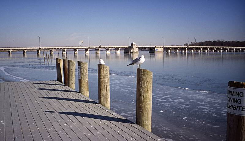 Along the Chester River.<br />Jan. 3, 2001 - Chestertown, Eastern Shore, Maryland.