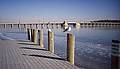 Along the Chester River.<br />Jan. 3, 2001 - Chestertown, Eastern Shore, Maryland.