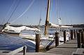 Along the Chester River.<br />Jan. 3, 2001 - Chestertown, Eastern Shore, Maryland.