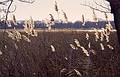 Jan. 3, 2001 - Eastern Neck Island National Wildlife Refuge, Eastern Shore, Maryland.
