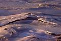 Jan. 3, 2001 - Eastern Neck Island National Wildlife Refuge, Eastern Shore, Maryland.