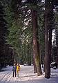 Melody and Joyce.<br />Jan. 19, 2001 - On way to Eagle Rock Outlook at Tahoe Pines off CA-89.