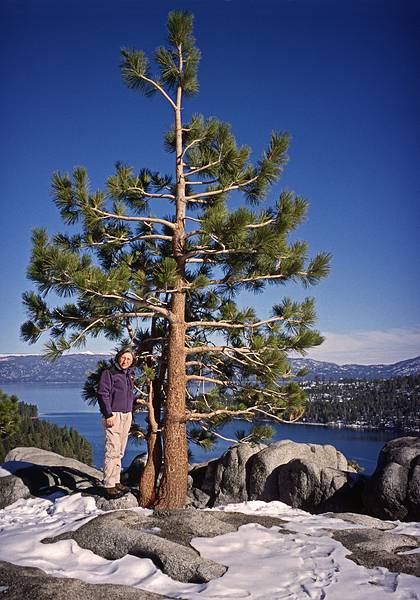 Joyce.<br />Jan. 19, 2001 - Emerald Bay area of Lake Tahoe, California.