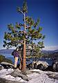 Joyce.<br />Jan. 19, 2001 - Emerald Bay area of Lake Tahoe, California.