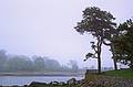 Kettle Cove.<br />May 27, 2001 - At Mirdza's in Manchester by the Sea, Massachusetts.