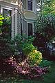 Our house.<br />June 8, 2001 - Merrimac, Massachusetts.