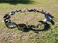 July 7, 2001 - Millbrook Gallery and Sculpture Garden, Concord, New Hampshire.<br />Joyce's steel sculpture "Kinetic Forces Cycle".