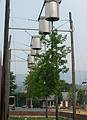 Aug 3, 2001 - Mass MOCA, North Adams, Massachusetts.<br />Tree Logic (upside down trees) by Natalie Jeremijenko.