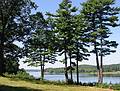 Aug 15, 2001 - Maudslay State Park, Newburyport, Massachusetts.<br />Along the Merrimack River.