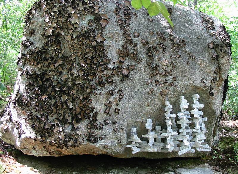 Aug 19, 2001 - Andres Institute of Art in Brookline, New Hampshire.<br />Chimes in/under rocks ((e)motions, Ivana Pagan, Croatia).
