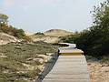Oct 3, 2001 - Parker River National Wildlife Refuge, Plum Island, Massachusetts.<br />Boardwalk to beach from parking lot 3.