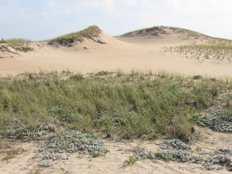 Oct 3, 2001 - Parker River National Wildlife Refuge, Plum Island, Massachusetts.<br />View from boardwalk to beach from parking lot 3.