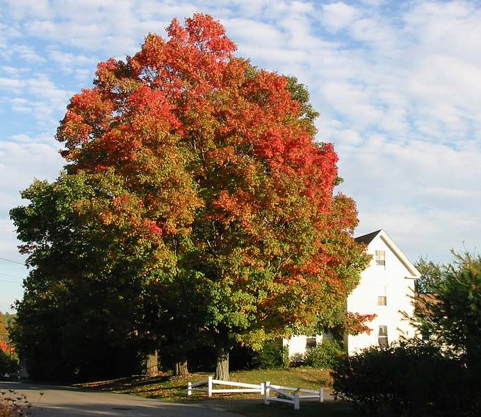 Oct 10, 2001 - Merrimac, Massachusetts.<br />Church Street.