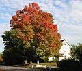 Oct 10, 2001 - Merrimac, Massachusetts.<br />Church Street.