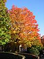 Oct 15, 2001 - Merrimac, Massachusetts.<br />Locust Street.