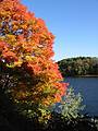 Oct 16, 2001 - Merrimac, Massachusetts.<br />Off River Road.