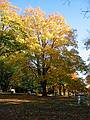 Oct 18, 2001 - Locust Street Cemetery, Merrimac, Massachusetts.