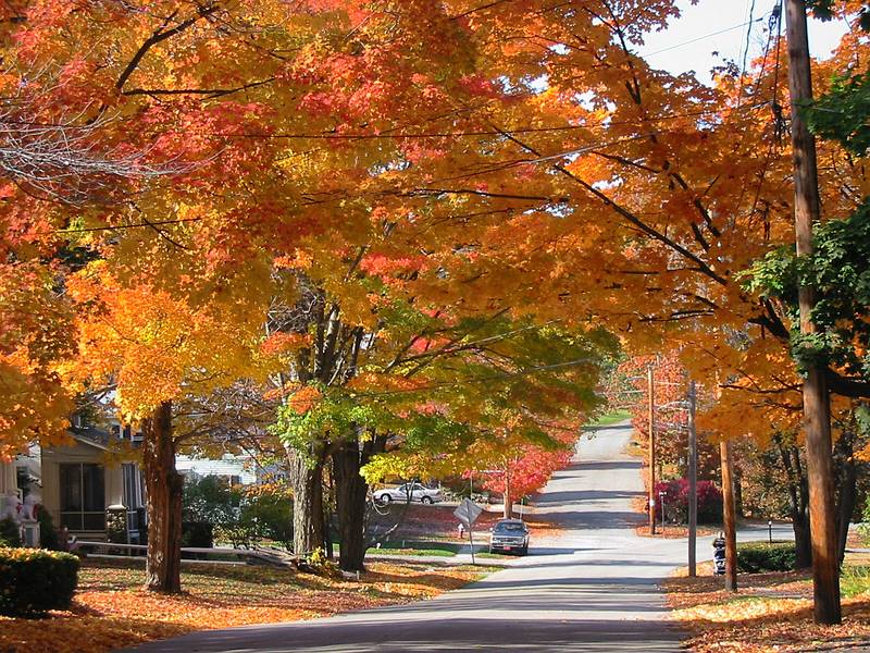 Oct 24, 2001 - Merrimac, Massachusetts.<br />View north (towards Winter Street) from front of house.