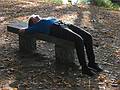 Oct 24, 2001 - Maudslay State Park, Newburyport, Massachusetts.<br />Joyce.