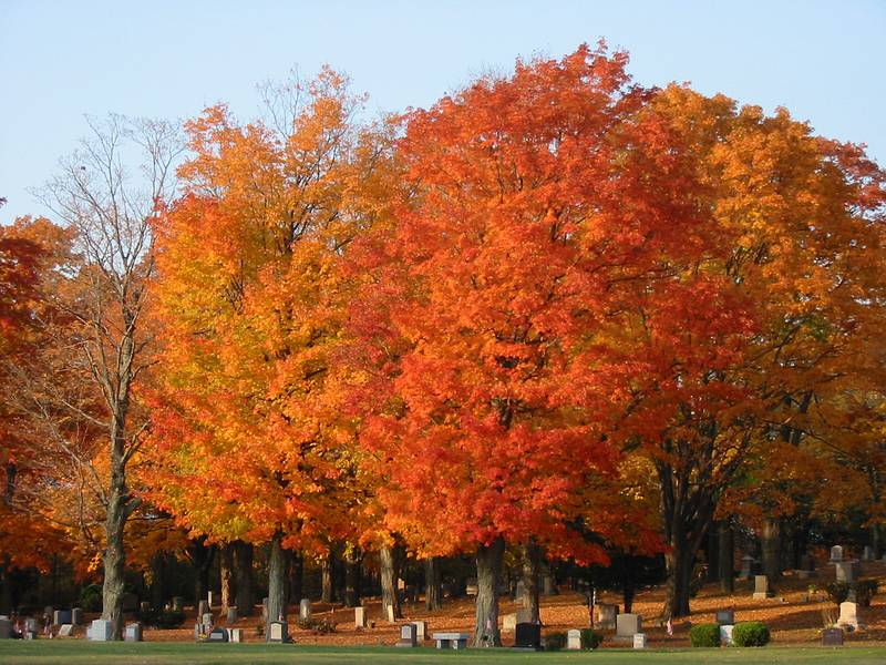 Oct 24, 2001 - Merrimac, Massachusetts.<br />Locust Street Cemetery.