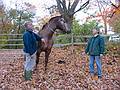 Oct 27, 2001 - A farm on Ipswich Road in Topsfield, Massachusetts.<br />The woman on the right is the owner of the farm.