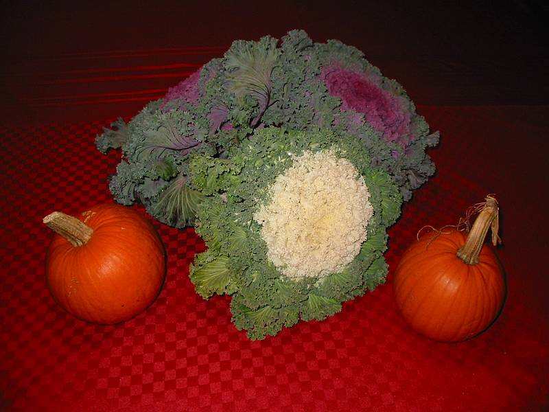 Nov 22, 2001 - Thanksgiving at Paul and Norma's in Tewksbury, Massachusetts.<br />Pumpkins and kale on the dinner table.