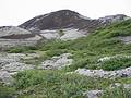 Aug 28, 2001 - Site of an extinct volcano at Grbrk (Gray Underwear?), Iceland.