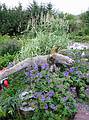 Sept 1, 2001 - A rock museum, shop, and garden at Stovarfjrur.
