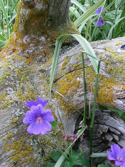 Sept 1, 2001 - A rock museum, shop, and garden at Stovarfjrur.