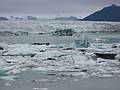 Sept 1, 2001 - At the shore of Jkulsrln (glacial river lagoon) at the foot of Breiamerkurjkull (a part of Vatnajkull).
