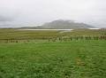 Sept 2, 2001 - Church at Sklholt, Iceland.<br />View at the exit of the tunnel.