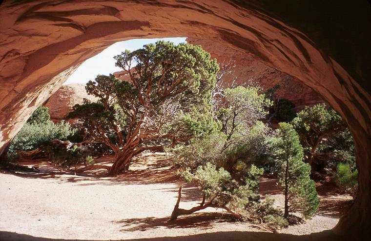May 14, 2001 - Arches National Park, Utah.<br />Navajo Arch at end of another side trail off of Devils Garden Trail.