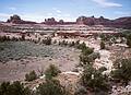 May 15, 2001 - The Needles District of Canyonlands National Park, Utah<br />Wooden Shoe from overlook.