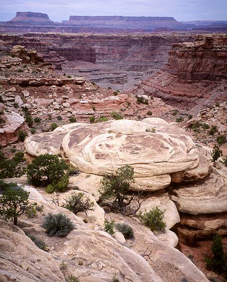 May 15, 2001 - The Needles District of Canyonlands National Park, Utah<br />Along Slickrock Trail.