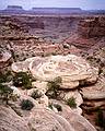 May 15, 2001 - The Needles District of Canyonlands National Park, Utah<br />Along Slickrock Trail.